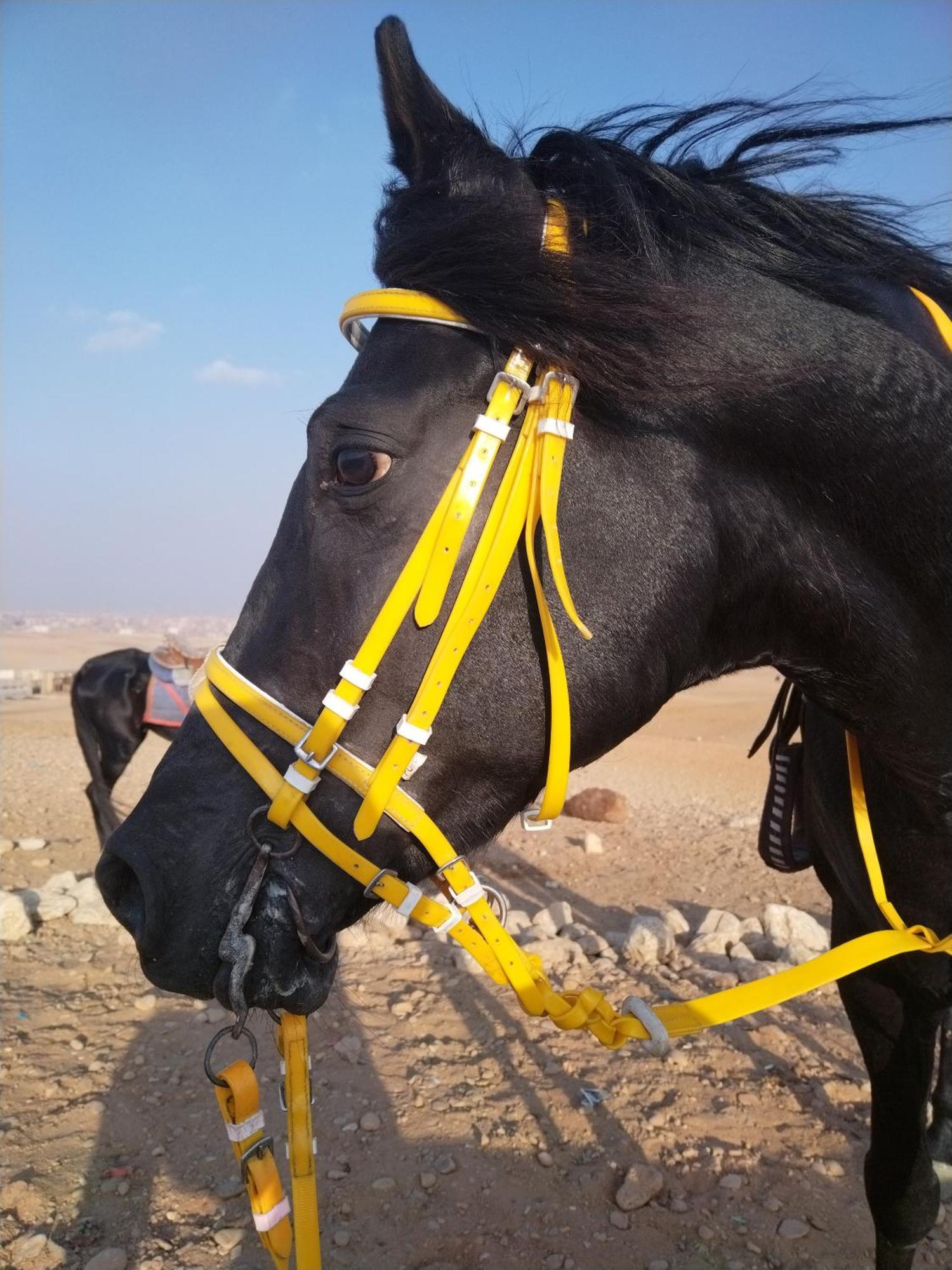Mesho Falcon Pyramids View Inn Kafrat al Jabal Ngoại thất bức ảnh